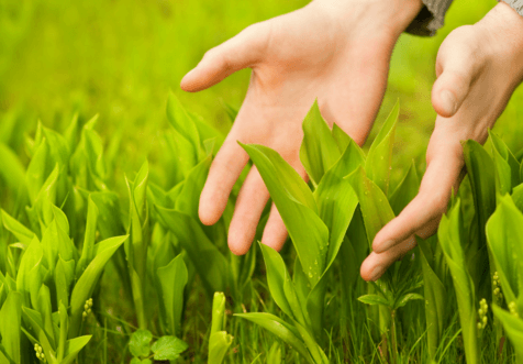 В России могут ввести налог на выбросы парниковых газов