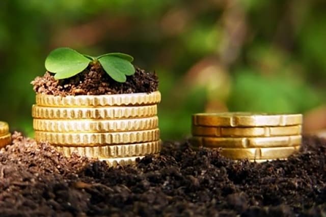 Producția globală agricolă s-a diminuat cu 25%