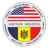 Poziția AmCham în privința noilor reguli de funcționare a Registrului general electronic  al facturilor fiscale