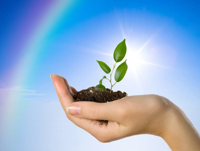 Доходы бюджета государственного социального страхования Молдовы