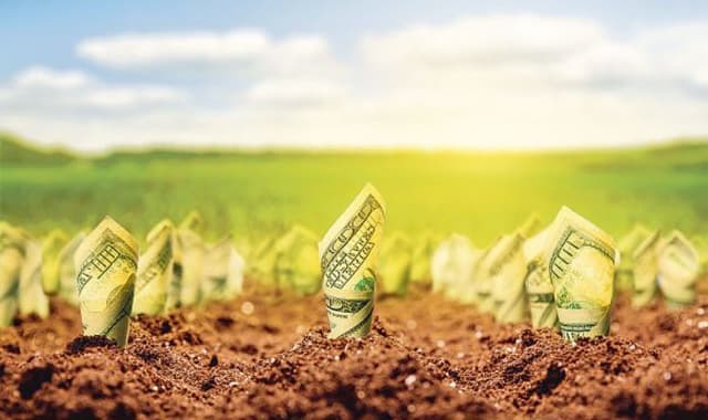 IFAD VIII: преобразование сельской местности