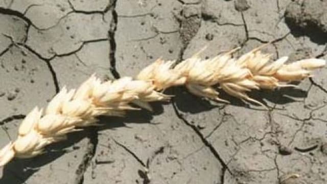 Reglementarea distribuirii ajutorului umanitar destinat agricultorilor