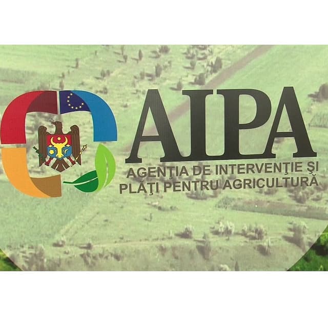 AIPA: выплачены первые 37 млн леев субсидий