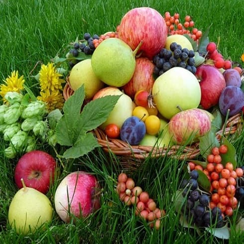 Buletinul de identitate al vânzătorului la perfectarea actului de achiziție