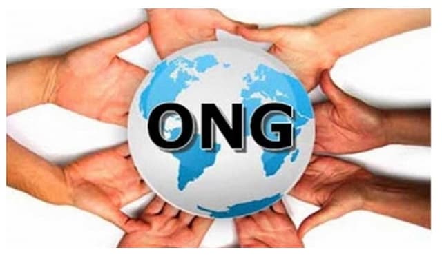 Proiectul de lege cu privire la organizațiile necomerciale, votat în lectură finală