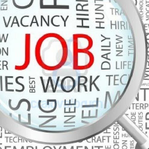 Numărul locurilor de muncă vacante, în creștere