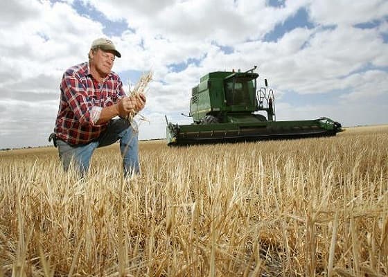 В Молдове предлагается ввести централизованную госзакупку сельхозпродукции