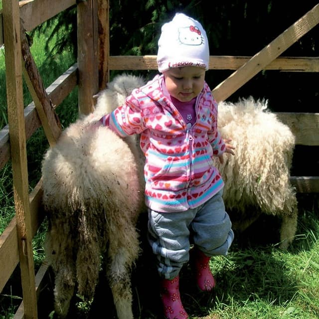 Turiştii ocolesc agropensiunile