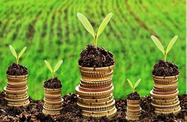 Subvenționarea Programului LEADER și a proiectelor start-up din FNDAMR continuă