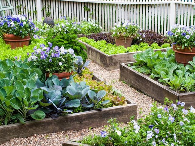 Lotul pe lângă casă drept teren agricol