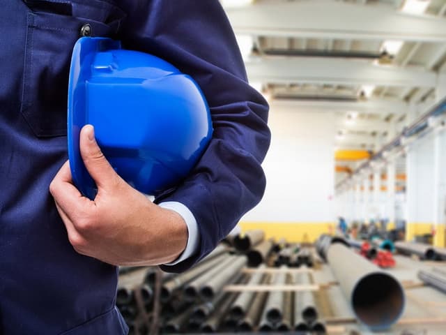 Aportul ZEL în economia ţării