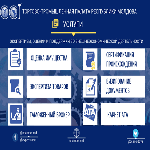 Товарная экспертиза для содействия торговле