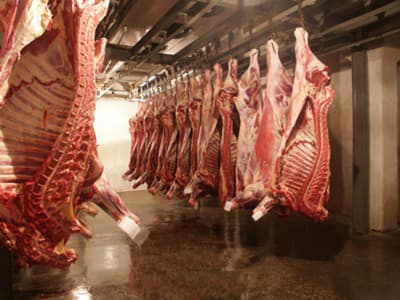 Producătorii de carne din Moldova solicită instituirea unor taxe speciale la importul din Ucraina