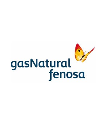 ANRE a eliberat noii companii "Gaz Natural Fenosa Furnizare Energie" o licență pentru furnizarea energiei electrice