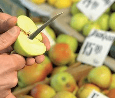 Самые дешевые яблоки в СНГ продают в Молдове