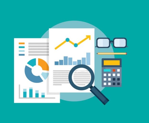 Controlul și emiterea Deciziei privind inițierea controlului efectuat de către SFS