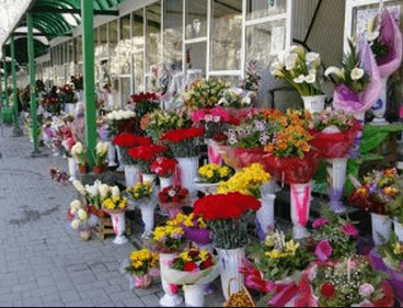 Reintroducerea patentei pentru comercianții de flori a fost discutată la Ministerul Economiei