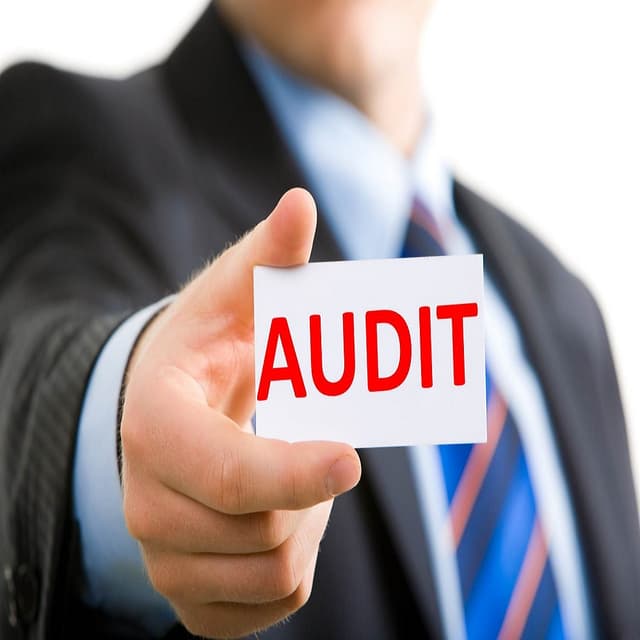 Un nou Regulament pentru raportarea activității de audit intern