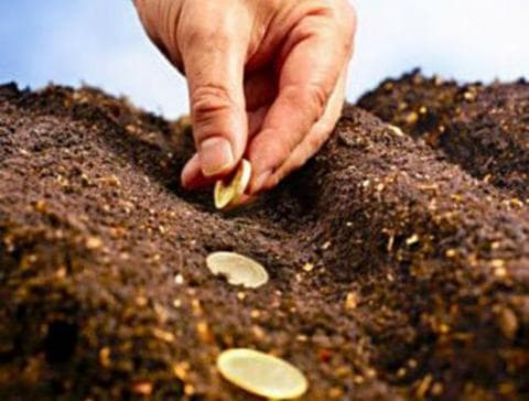 Legea privind principiile subvenționării în agricultură și dezvoltare rurală: predictibilitate și eficiență