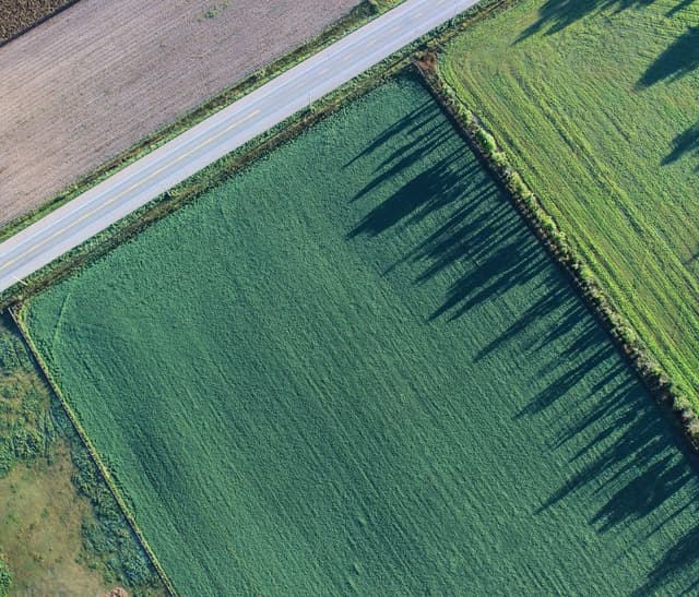 SI Registrul solurilor va fi integrat pe Mcloud