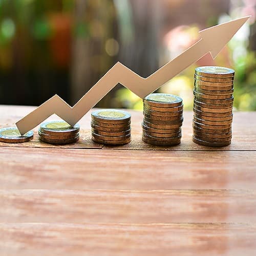 Dezvoltarea regională și locală. Funcțiile Consiliului Național