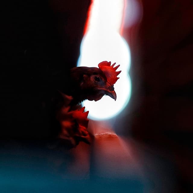 Facilitarea exportului, discutată la MEI