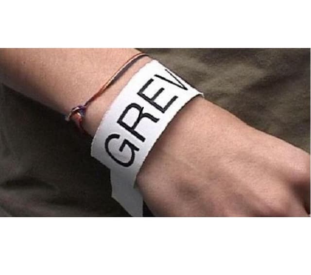 Deputaţii şi Preşedintele ţării nu pot declara grevă