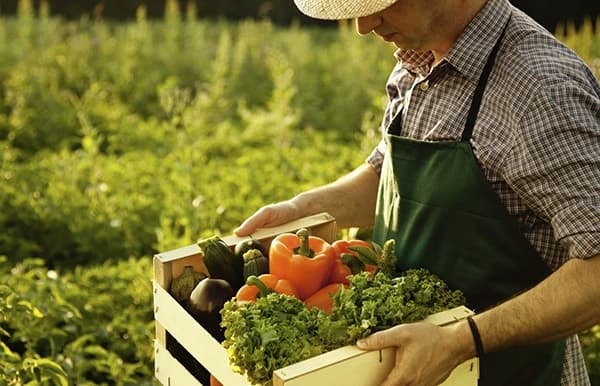 Certificatul de producător agricol autohton va deveni document de strictă evidență