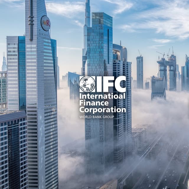 IFC: публичный цифровой реестр финансовой отчетности
