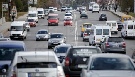 Eliberarea vinietei a adus la bugetul de stat peste 2 milioane lei