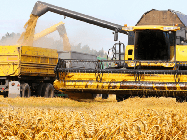 Ţările dezvoltate vor renunţa la subvenţionarea exporturilor agricole