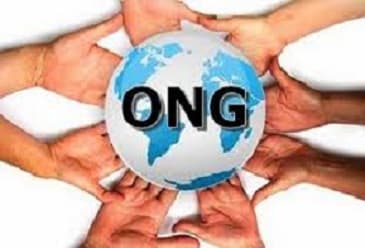 Structura organizaţională a Organizatiilor Socieății Civile