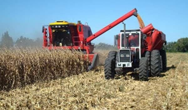 România, printre statele cu cea mai ridicată valoare a producției agricole din UE