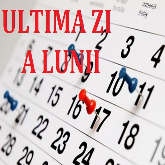 Termenul de eliberare a facturii fiscale la solicitarea persoanei fizice