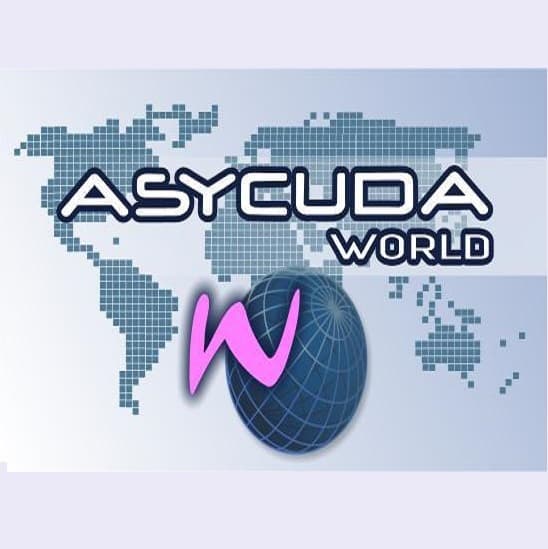 Aveți nevoie de servicii de vămuire? Apelați la serviciile CTIF