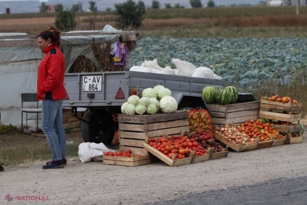 Cota exporturilor pe piața UE a crescut simțitor