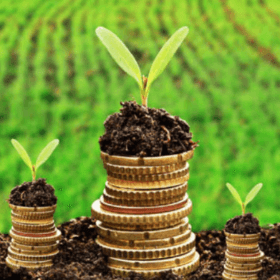 Subvenționarea în agricultură și mediul rural. Prioritate pentru fermieri 