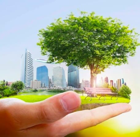 Кто может быть наказан за мусор перед офисом