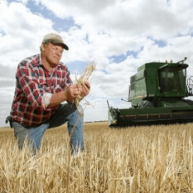 Agricultura. Preţurile producătorului în ianuarie-septembrie 2022