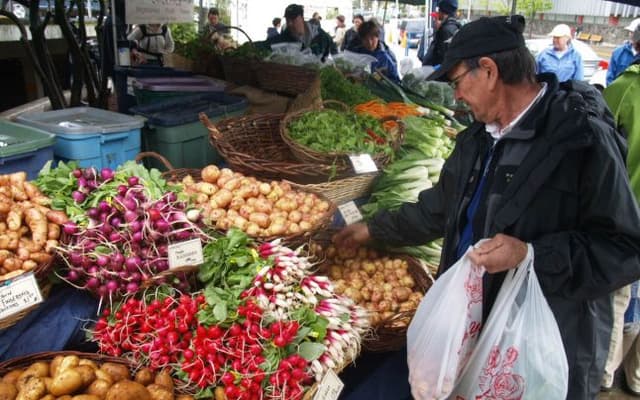 Proiect de Hotărîre Guvern „Cu privire la organizarea şi funcţionarea pieţelor