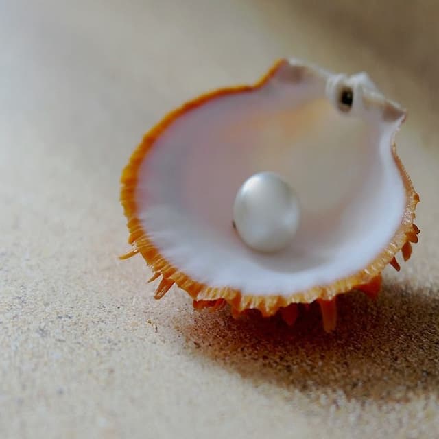 Проблема сокращения масштабов нищеты должна оставаться в центре нашего внимания