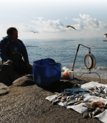 Сокращение размеров неформального сектора