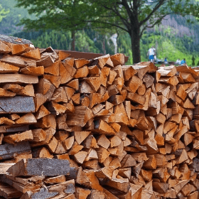 La importul lemnului de foc ce vor aplica facilități fiscale și vamale 