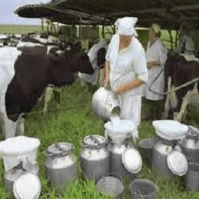 Сбор за объекты торговли и/или объекты по оказанию услуг при наличии пунктов закупки молока 