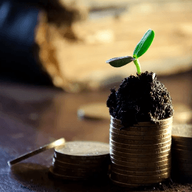 Până în anul 2030 investițiile private în agricultură vor spori până la 13 mld. lei