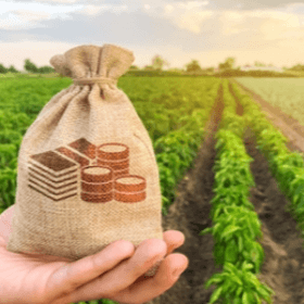 Noi prevederi în Regulamentul privind rambursarea TVA pentru producătorii agricoli