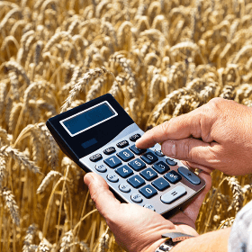 Поправки в Положение о возмещении НДС для сельхозпроизводителей