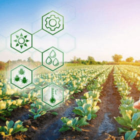 Alte principii de subvenționare în agricultură și mediul rural 