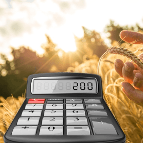 Vânzarea producției agricole la un preț mai mic decât costurile de producție. Aspecte contabile și fiscale 