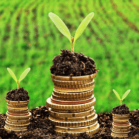 Noi principii de subvenționare în agricultură și mediul rural 